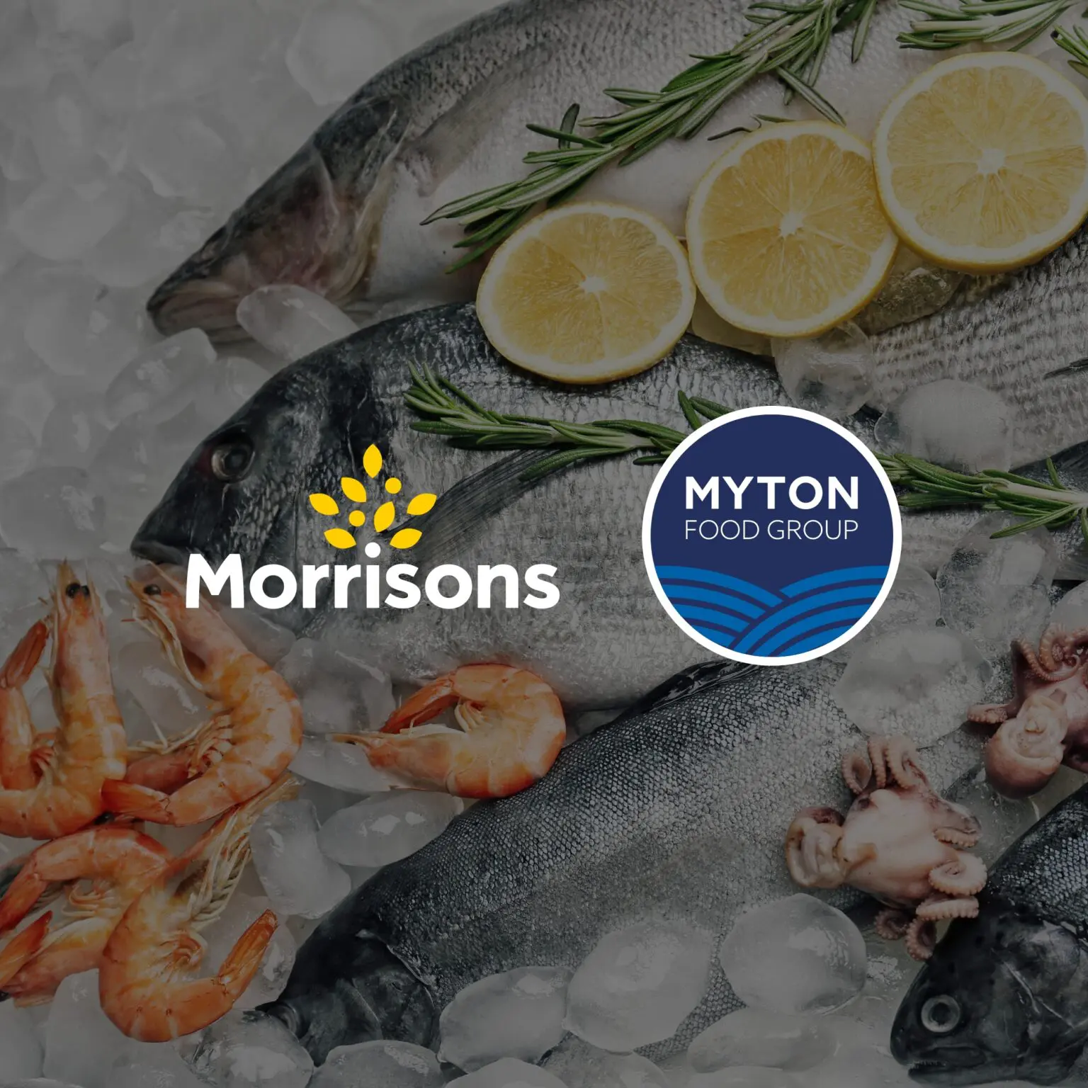 Web design agency Bluestone98 - web design for Wm Morrisons and the Myton Food Group by Bluestone98