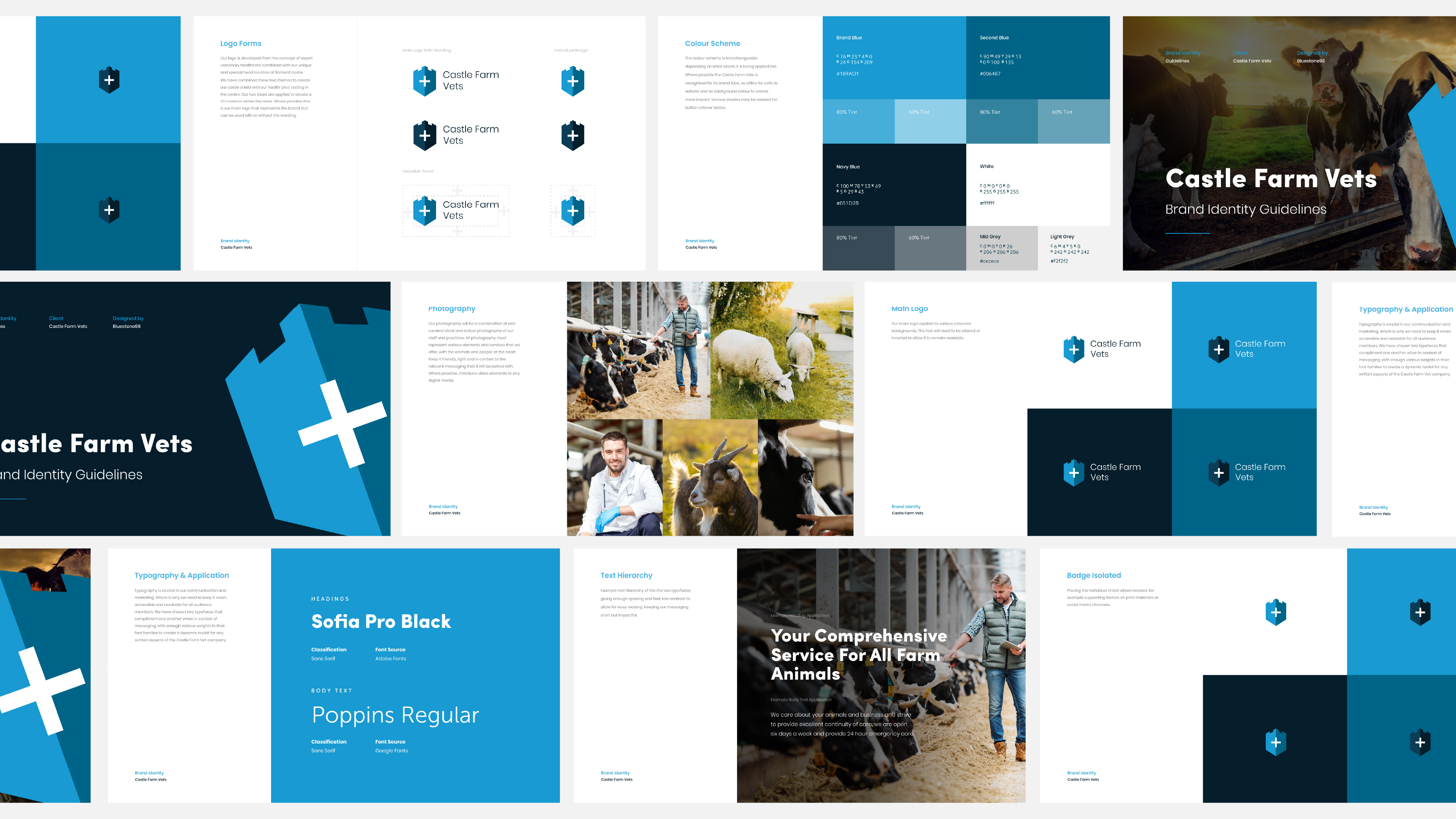 CVS Vets  Design & Branding By Bluestone98