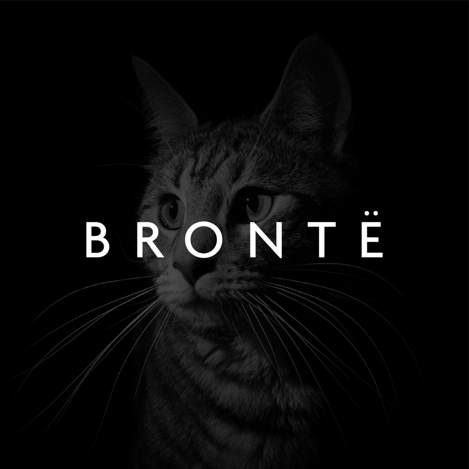 Bronte_Tiles-06