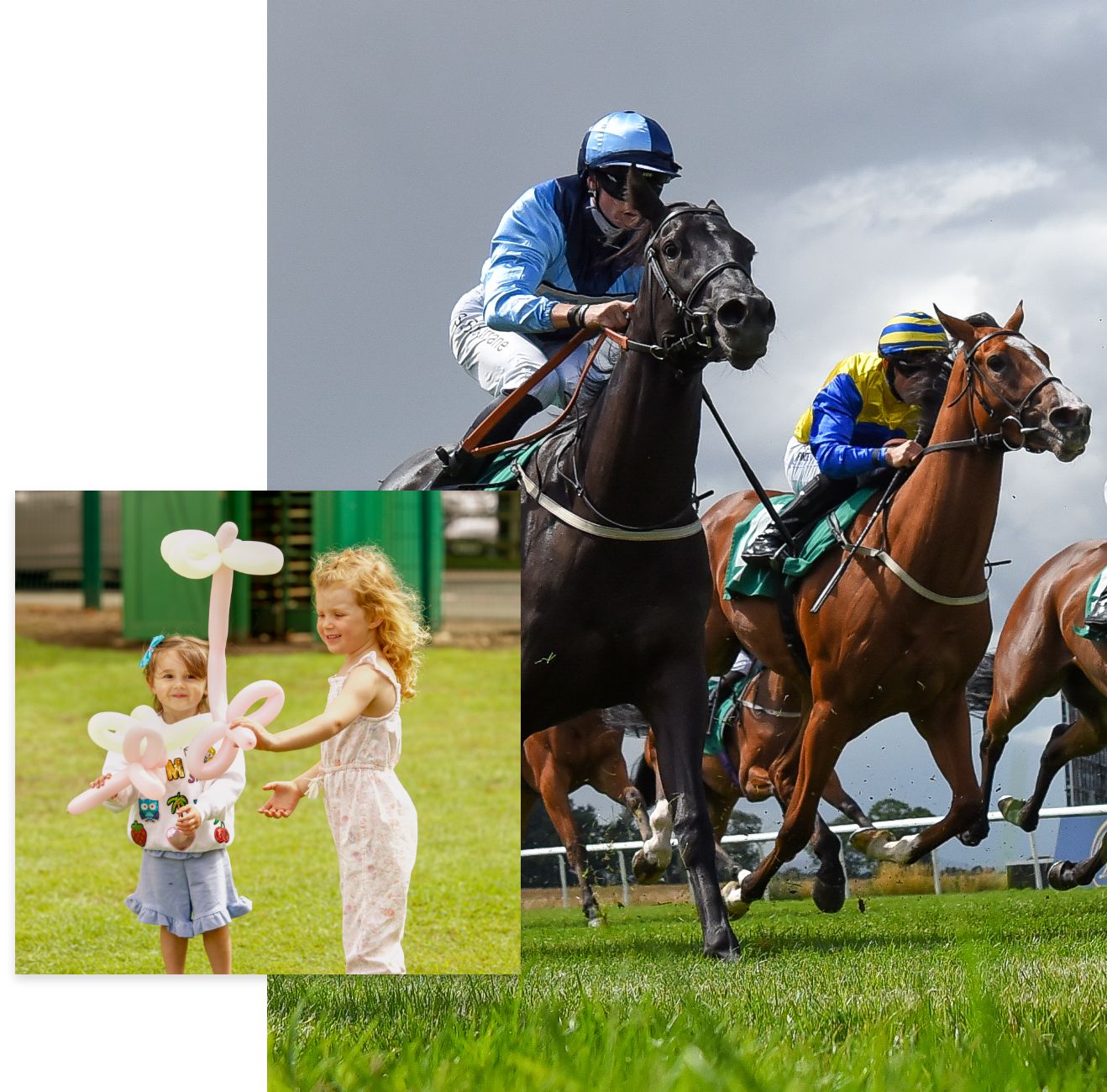 Thirsk Race Course responsive website by Bluestone98