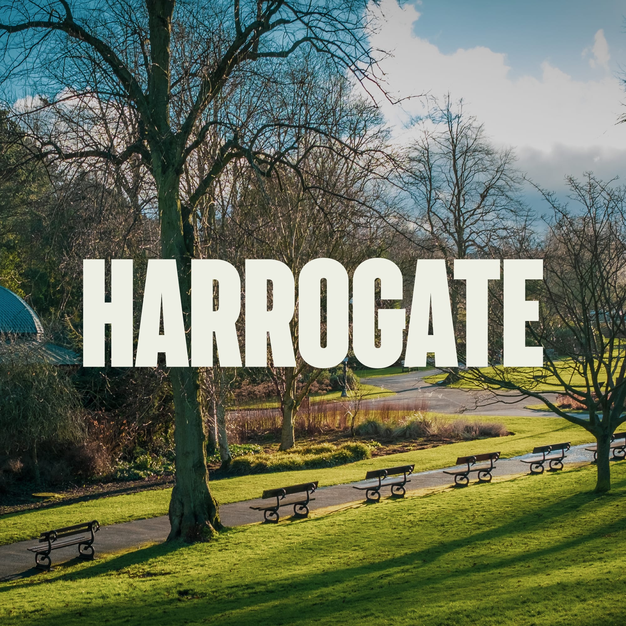 Digital Agency Harrogate