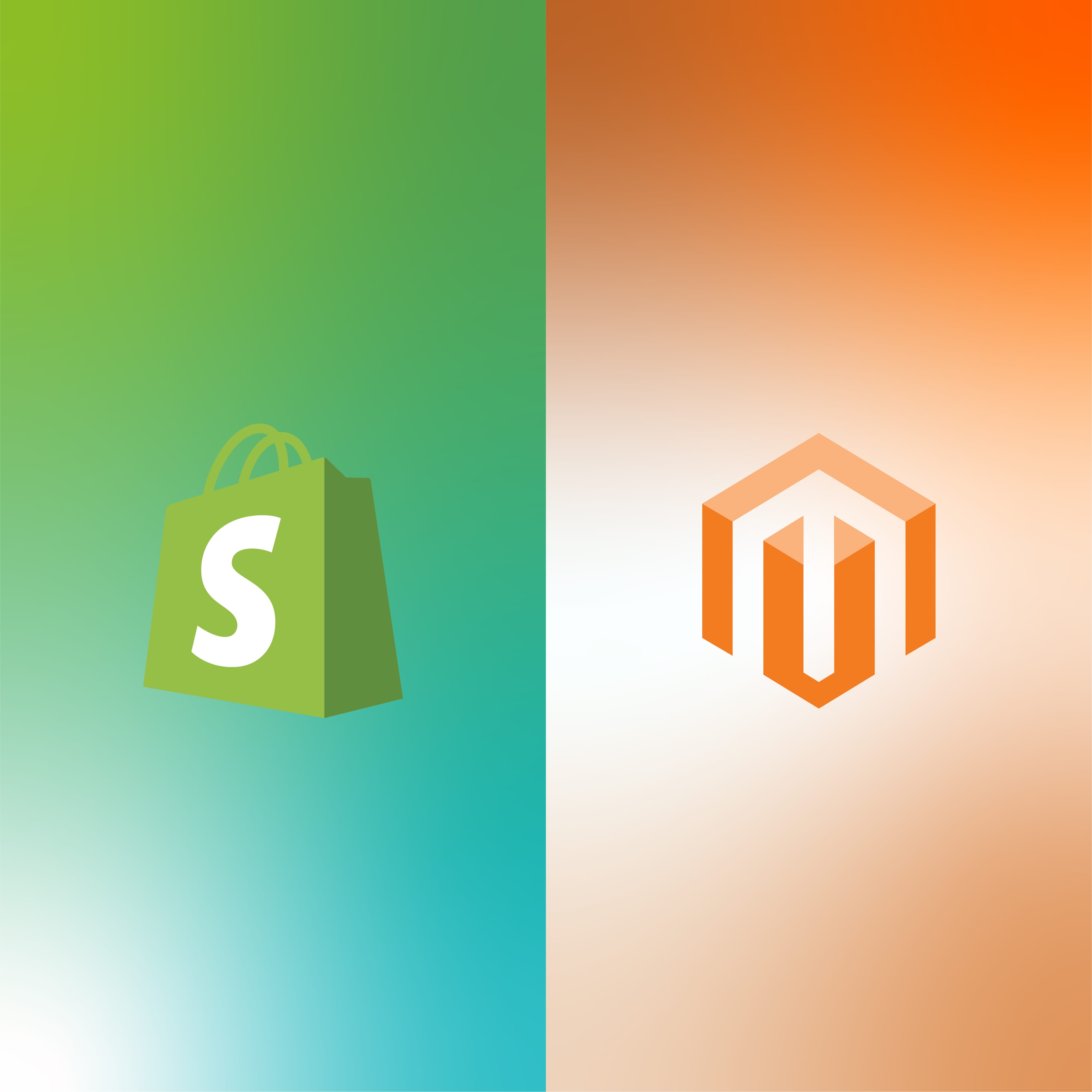 Shopify & Magento Web Development