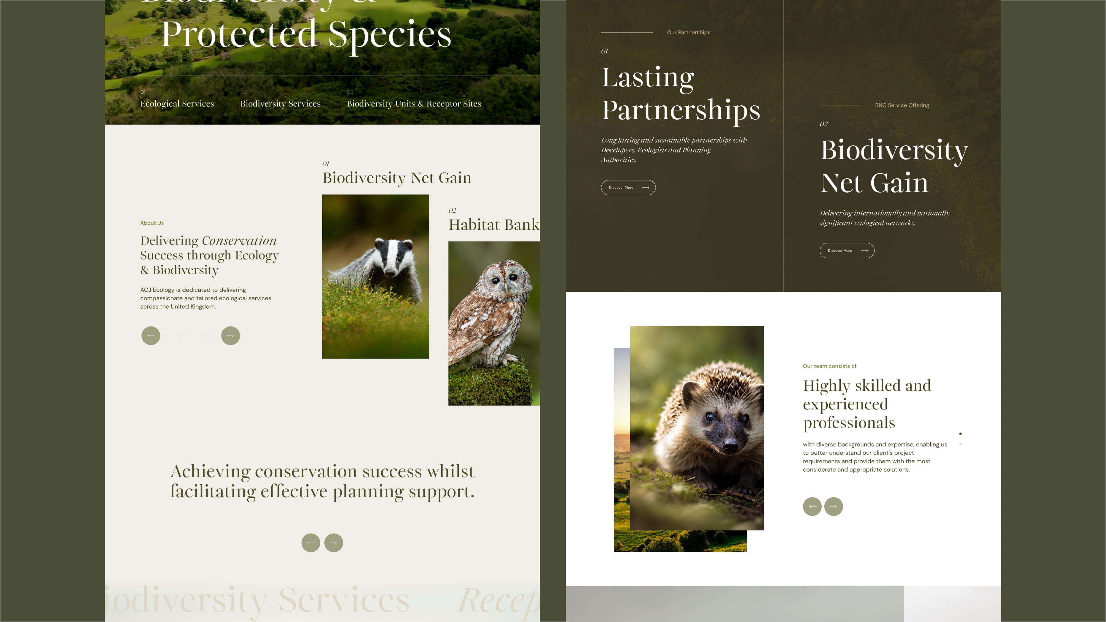 ACJ Ecology website design by Bluestone98