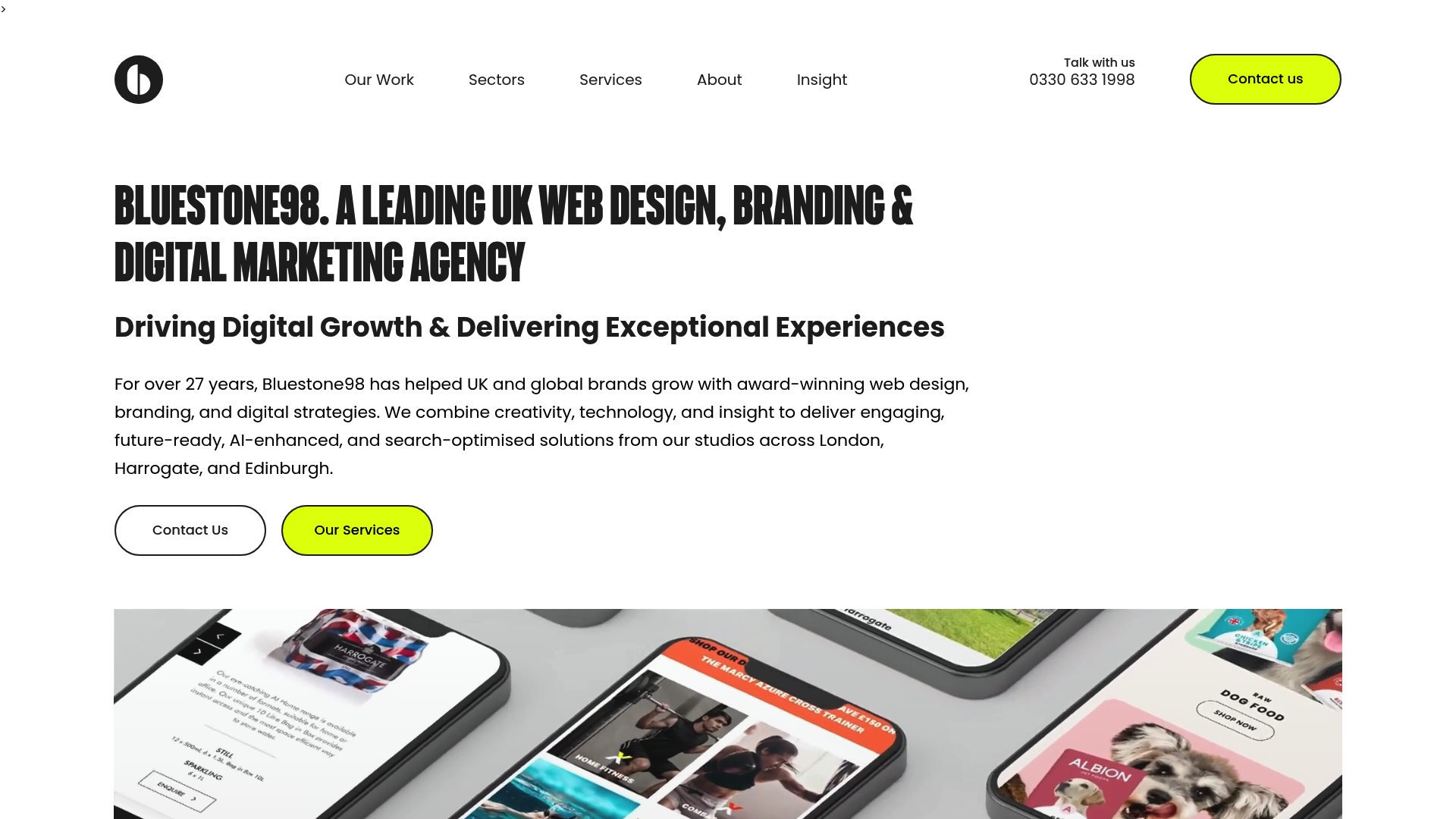 what is web development